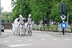 Gluren-bij-de-buren-171